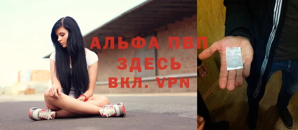 стаф Аркадак