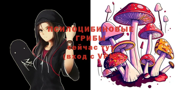 гидра Михайлов