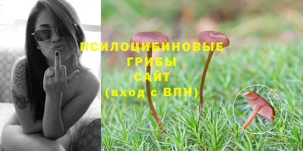 амфетамин Осинники