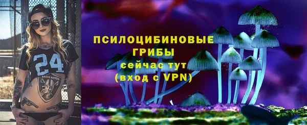 гидра Михайлов