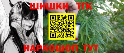 бошки Гатчина