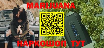 бошки Гатчина