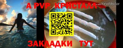 прущие грибы Гагарин