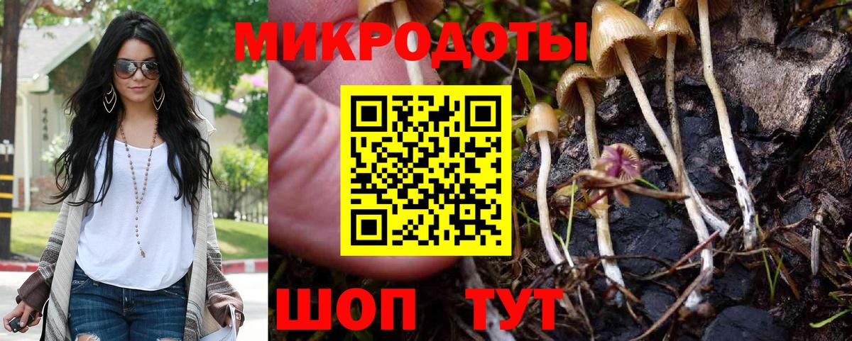 Галлюциногенные грибы прущие грибы  Галлюциногенные грибы мицелий  купить наркотики сайты  Кашира  Вход с VPN 